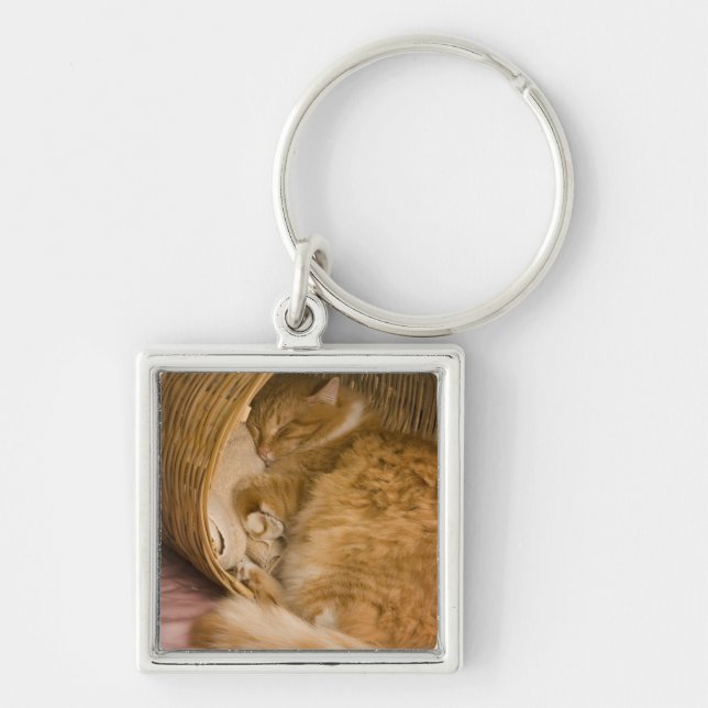 Llavero Gato atigrado naranja durmiendo en cesto (Frente)