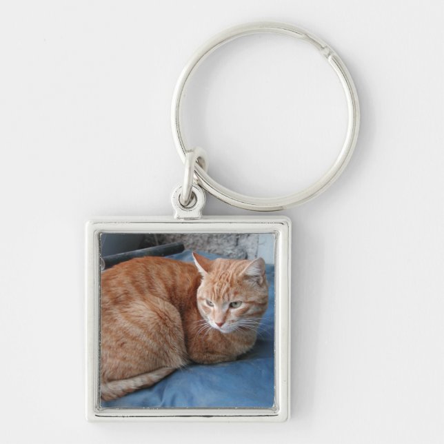 Llavero Gato Beige (Frente)