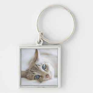 Llavero Gato blanco bonito con los ojos azules que ponen