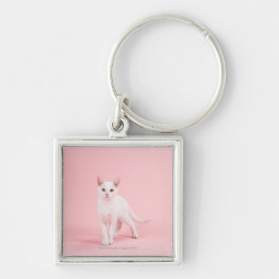 Llavero Gato blanco joven