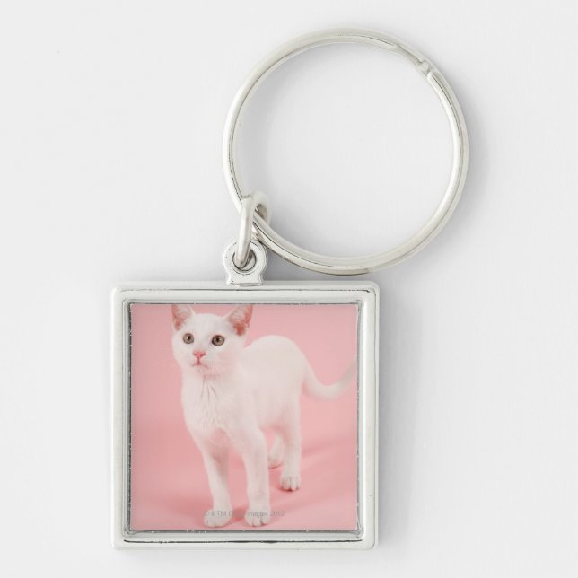 Llavero Gato blanco joven 2 (Frente)