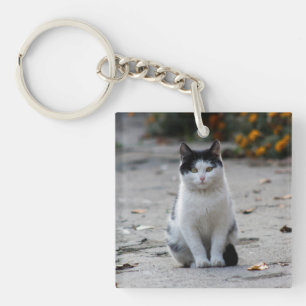 Llavero Gato, blanco, Mascota