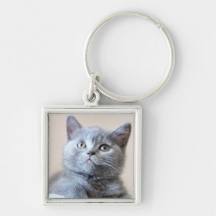 Llavero Gato británico gris de Shorthair