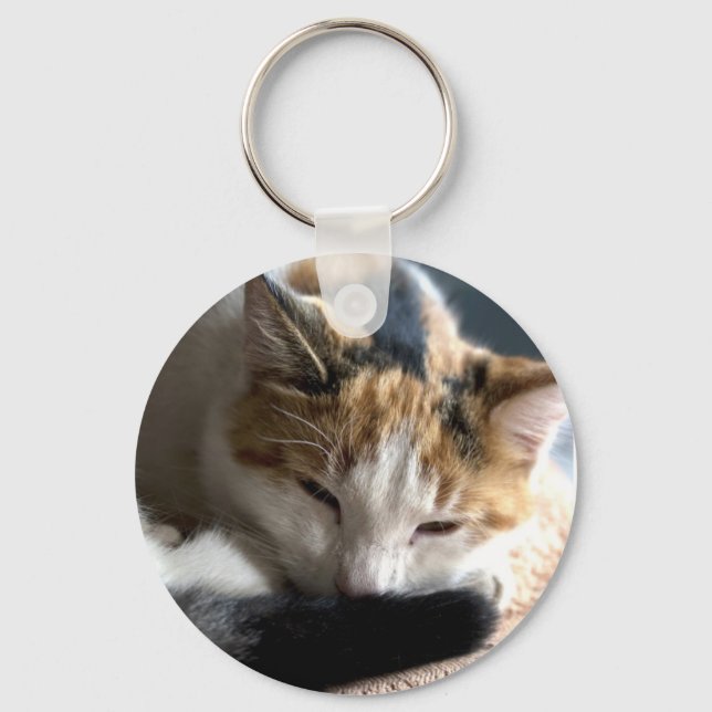 Llavero Gato calico durmiente (Anverso)
