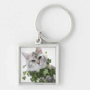 Llavero Gato de Coon de Maine y ornamento de la hiedra