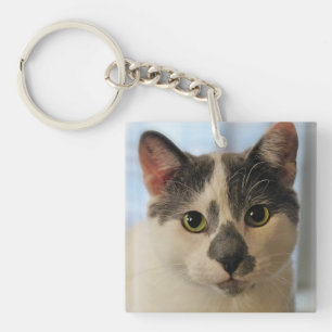 Llavero Gato de corte