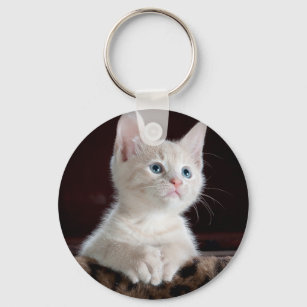 Llavero Gato de foto Mascota personalizado Lover Keepsake