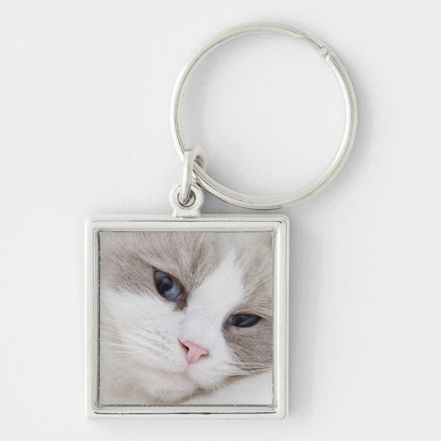 Llavero Gato de Ragdoll (Frente)
