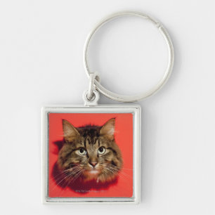 Llavero Gato de Saiberian