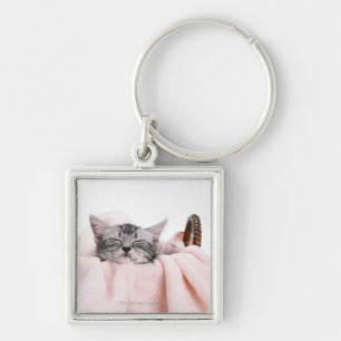 Llavero Gato de Shorthair del americano