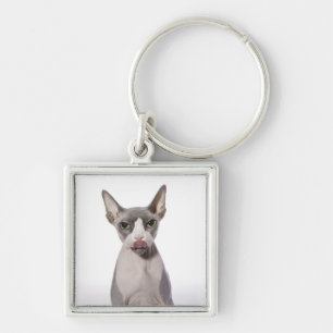 Llavero Gato de Sphynx con la lengua hacia fuera