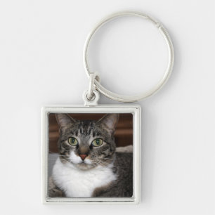 Llavero Gato de Tabby mirándote - Descontinuado por mí