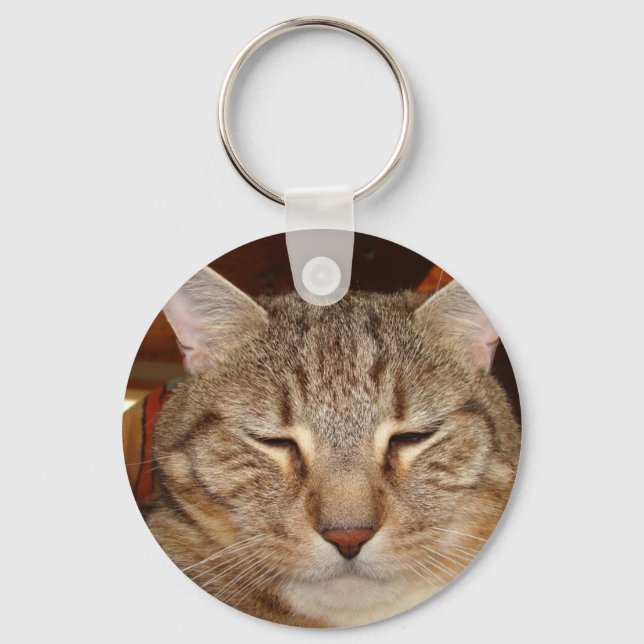 Llavero Gato del tigre de Tabby (Anverso)