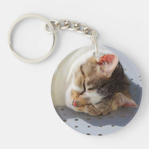 Llavero Gato durmiendo en un jardín