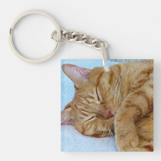 Llavero Gato durmiente (Frente)
