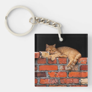 Llavero Gato en pared de ladrillo