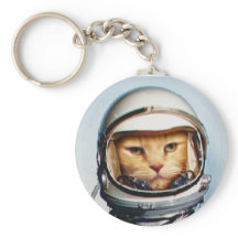 Gato espacial