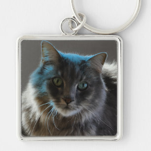 Llavero Gato Gris de Pelo Largo Majestuoso Willy Boy
