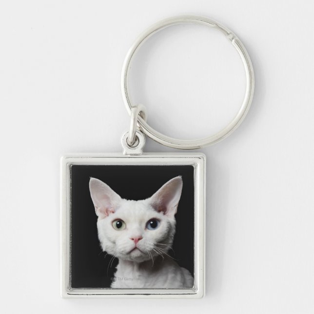 Llavero Gato impar-observado blanco (Frente)