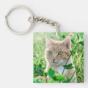 Llavero Gato jengibre con ojos verdes en la hierba