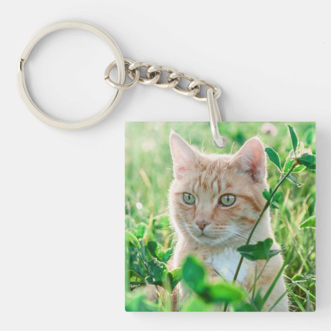 Llavero Gato jengibre con ojos verdes en la hierba (Frente)