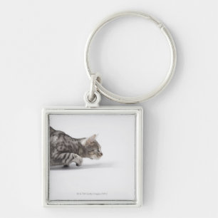 Llavero Gato listo para saltar