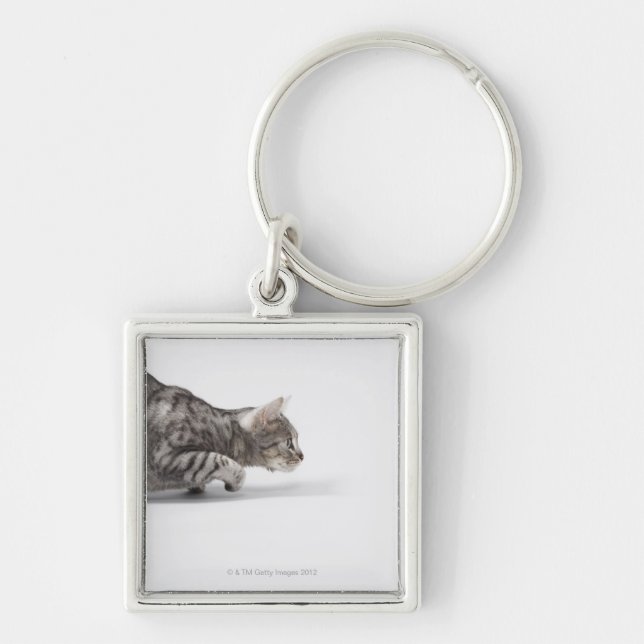 Llavero Gato listo para saltar (Frente)