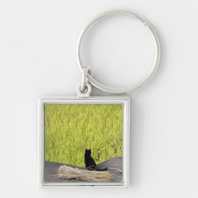 Llavero Gato negro en arroz de arroz (Frente)