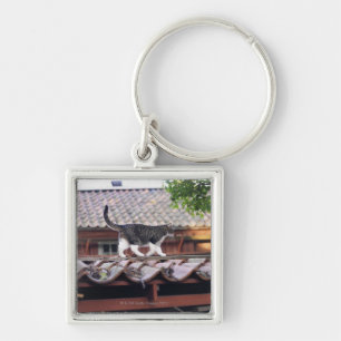 Llavero Gato que camina en el tejado de la vertiente