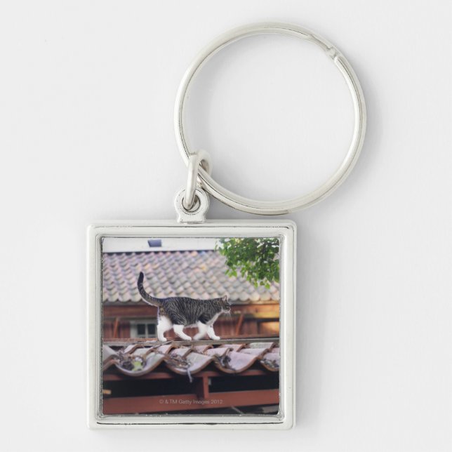 Llavero Gato que camina en el tejado de la vertiente (Frente)