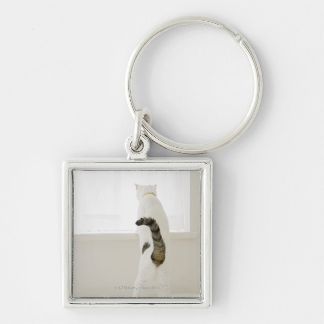 Llavero Gato que mira hacia fuera la ventana, vista (Frente)