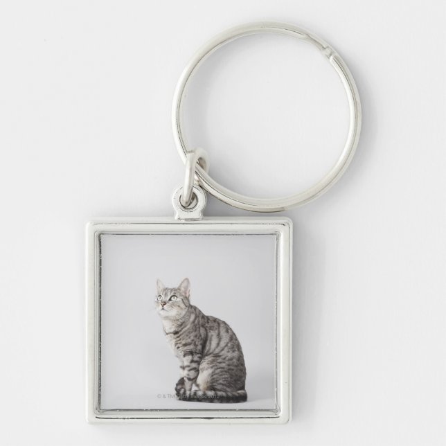 Llavero Gato que mira para arriba (Frente)