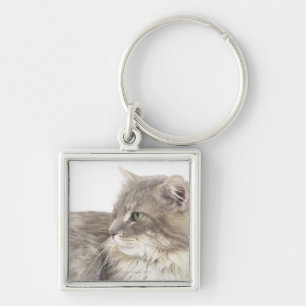 Llavero Gato que se acuesta