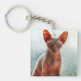 Llavero Gato Sfinx sin pelo gruñón