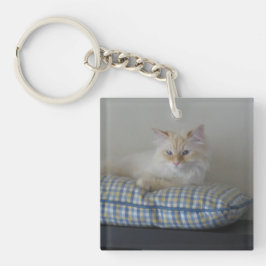 Llavero Gato siberiano del bosque (el doble echó a un