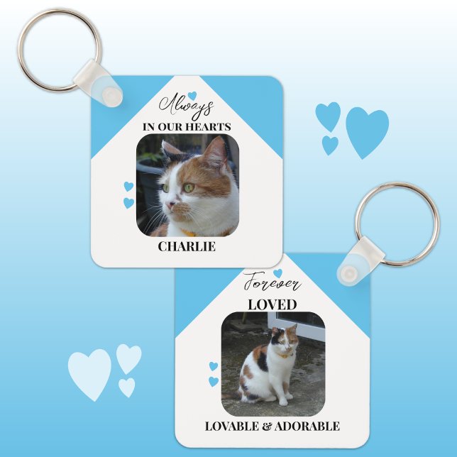 Llavero Gato Simpatía Keepsake Mascota Memorial azul (Subido por el creador)