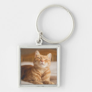 Llavero Gato soñoliento de las imágenes el   de Getty