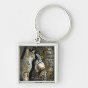 Llavero Gato y gatito por el árbol