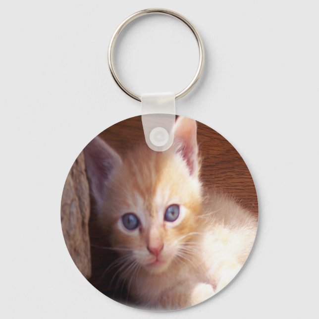 Llavero Gatos (Anverso)