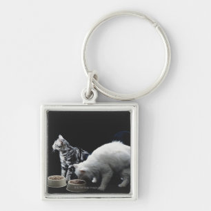 Llavero Gatos con el cuenco de comida