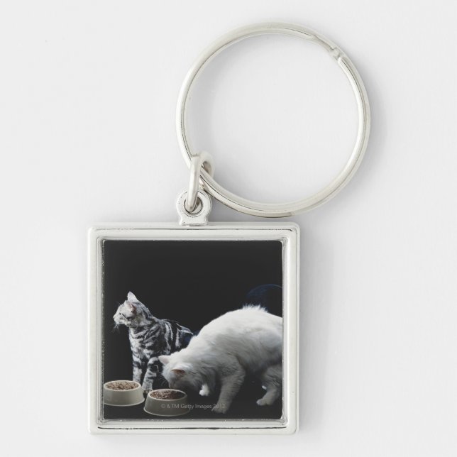 Llavero Gatos con el cuenco de comida (Frente)