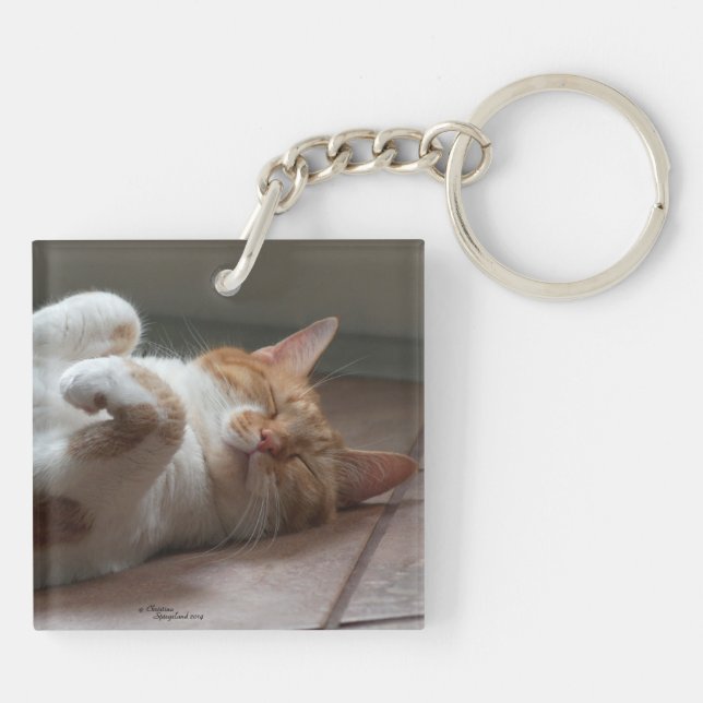 Llavero Gatos más agudos Keychain (Atrás)