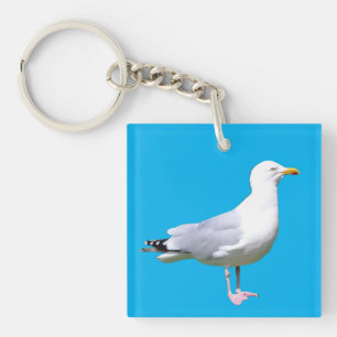 Llavero Gaviota Ave Costera de Pie Arte de Vida Silvestre