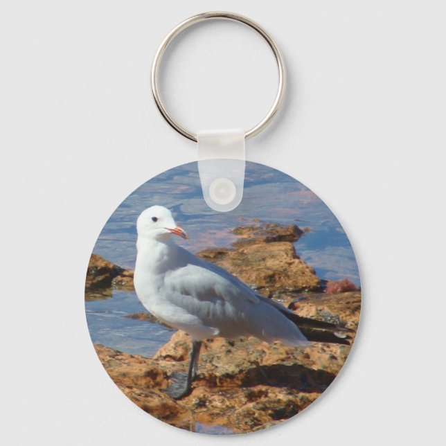 Llavero Gaviota blanca - Keychain (Anverso)