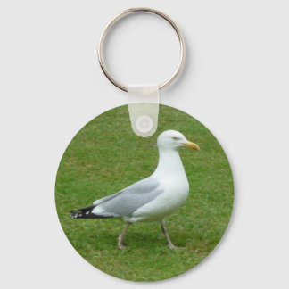 Llavero Gaviota caminando por el parque