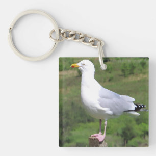 Llavero Gaviota Costera Elegante Posada en Poste de Cerca