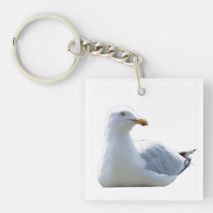 Llavero Gaviota Costera Vida Silvestre Océano Pájaro Minim