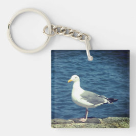 Llavero Gaviota En La Bahía