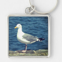 Llavero Gaviota En La Bahía