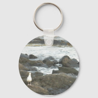 Llavero Gaviota en rocas